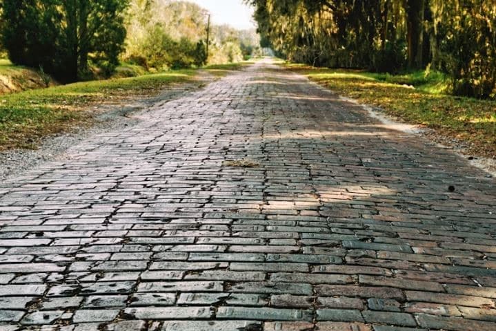 Camino de ladrillos desgastados bajo árboles, evocando resiliencia hídrica.