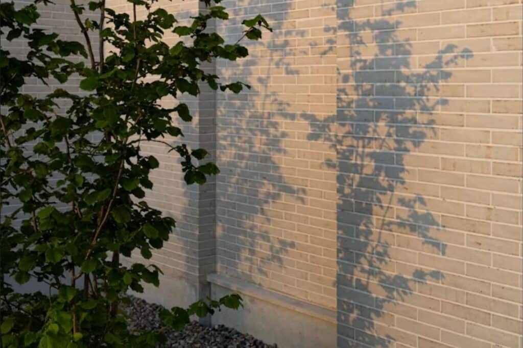 Sombras de hojas de árbol en un muro de ladrillos