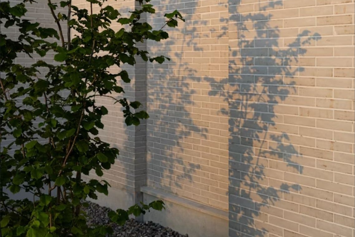 Sombras de hojas de árbol en un muro de ladrillos